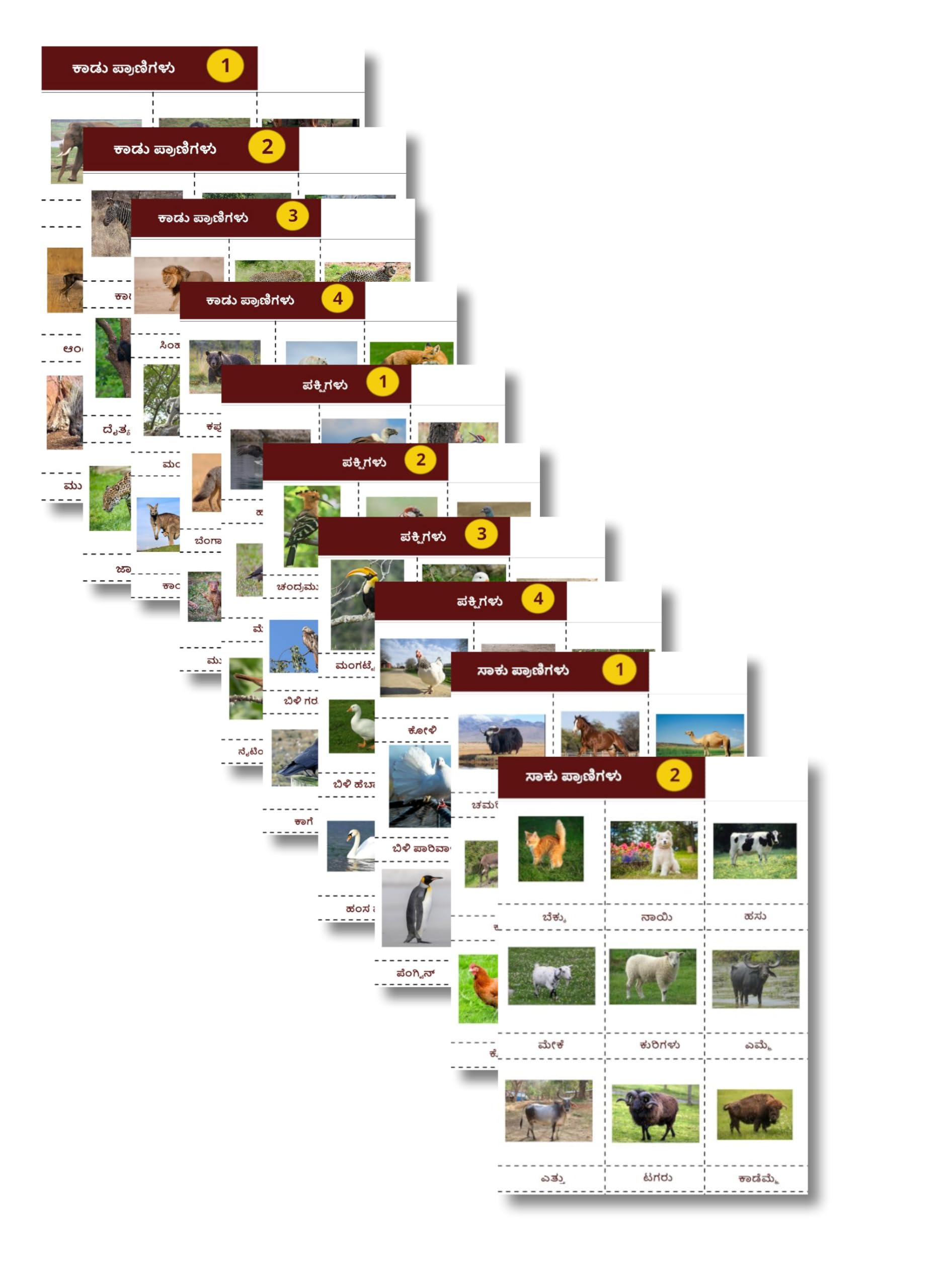 Cut and Paste Animals and Birds Educational Charts, Set of 10 A4 Sheets, Kannada Labelled-picture-28