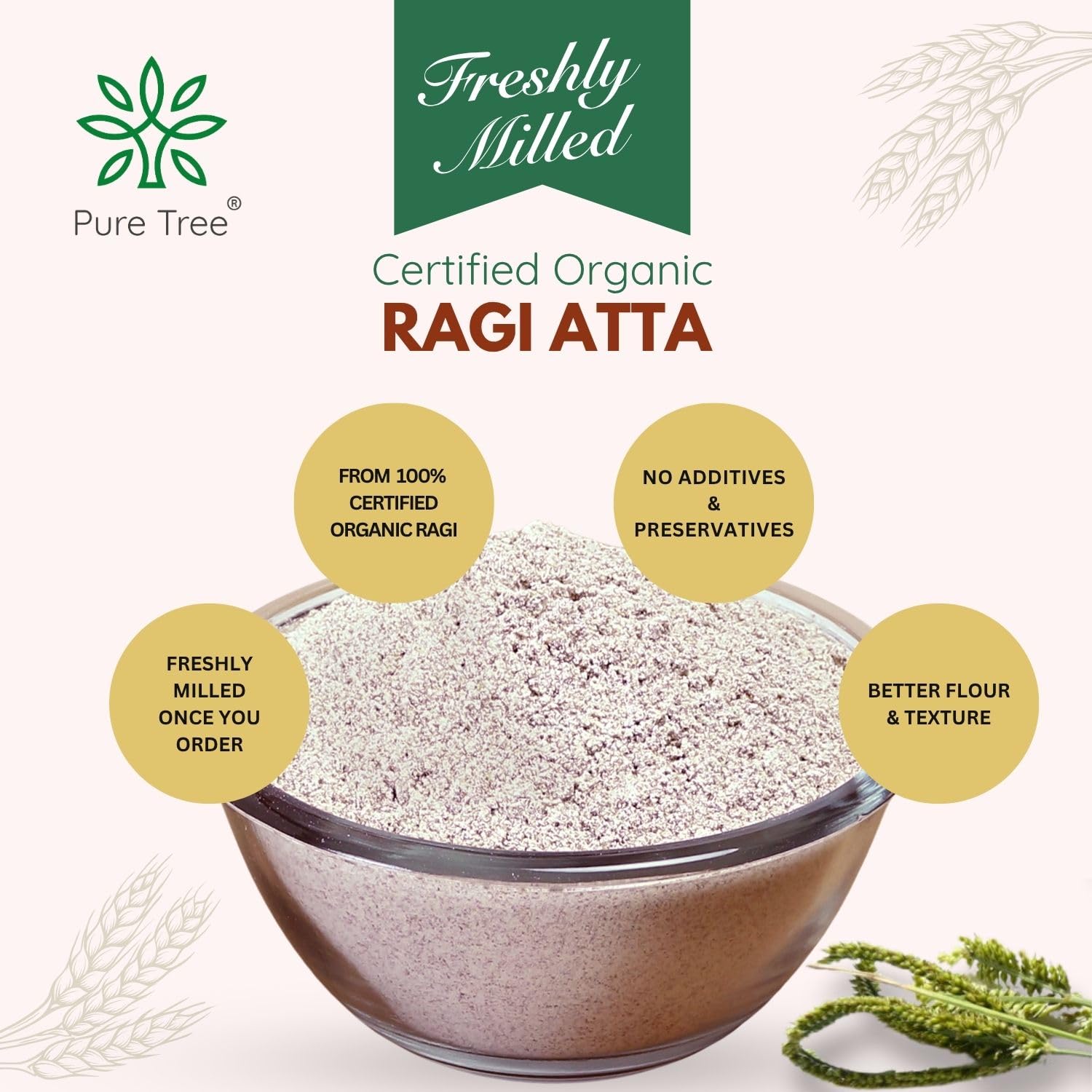 Pure Tree Certified Organic Freshly Milled Ragi Flour Finger Millet | 850 g | Finger Millet | Nachni | Nagli | Ragi Millet Gluten-Free | Bavto | Red Finger Millet | Ragi Whole Grain 3