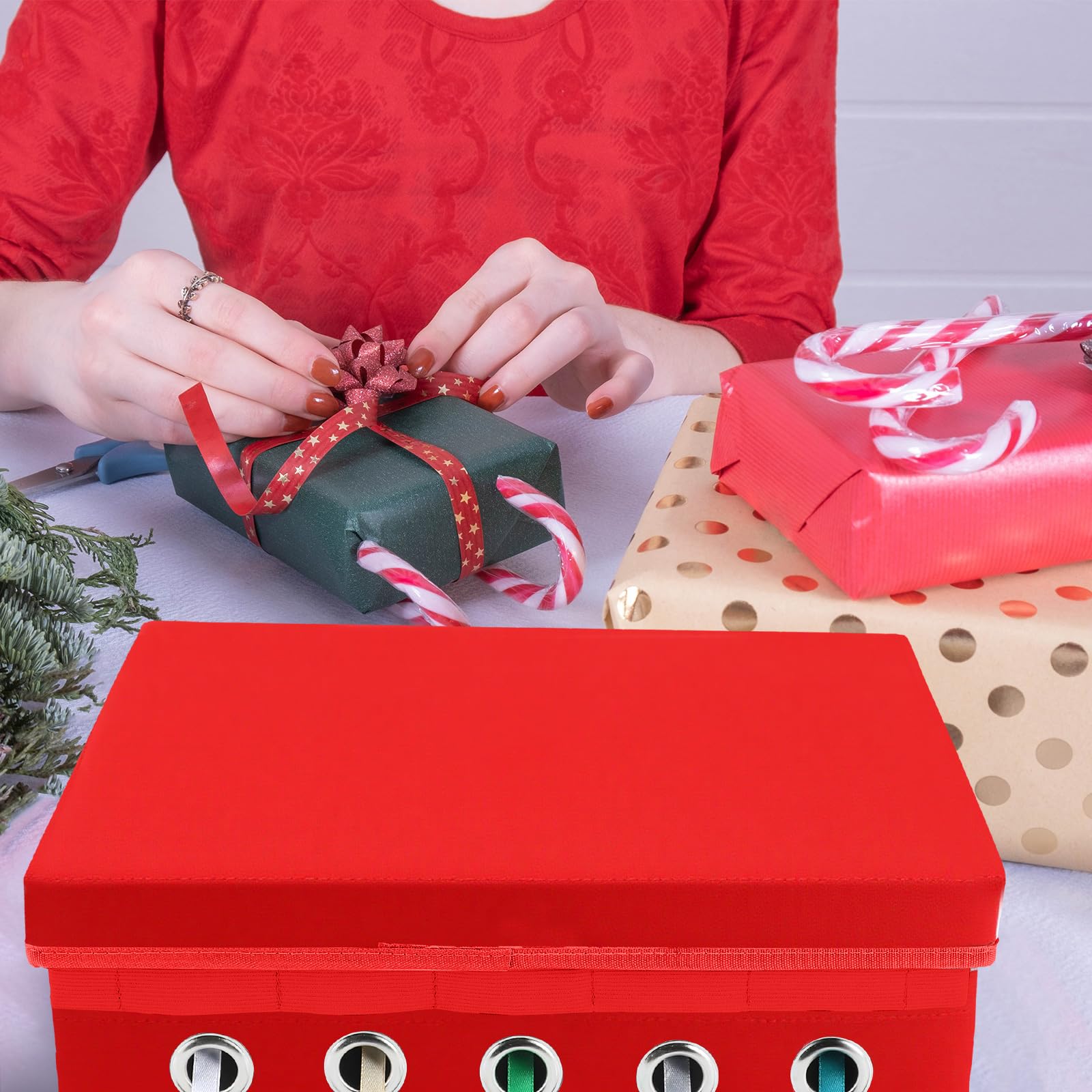 Amazon.com: Cinnvoice 2 Pack Christmas Ribbon Organizer Container