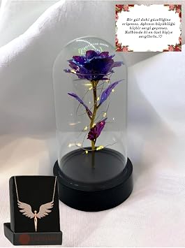 Lapidaria Fanus I erisinde Dekoratif Peri Led I kl  Mor Solmayan Sonsuzluk G l  Lamba Ve Melek Kolye