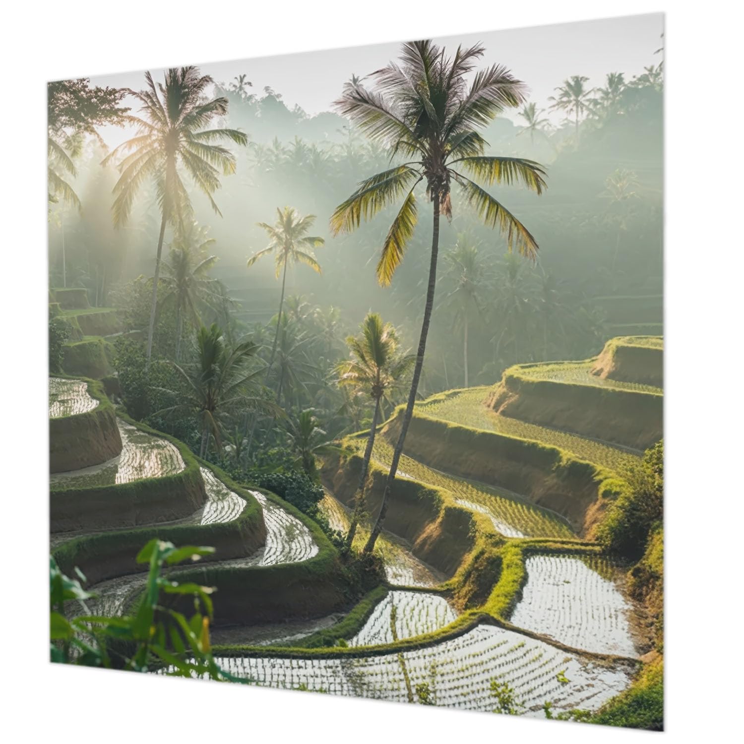 Papier peint intissé 250x250 cm de haute qualité avec colle incluse motif terrasses paradisiaques