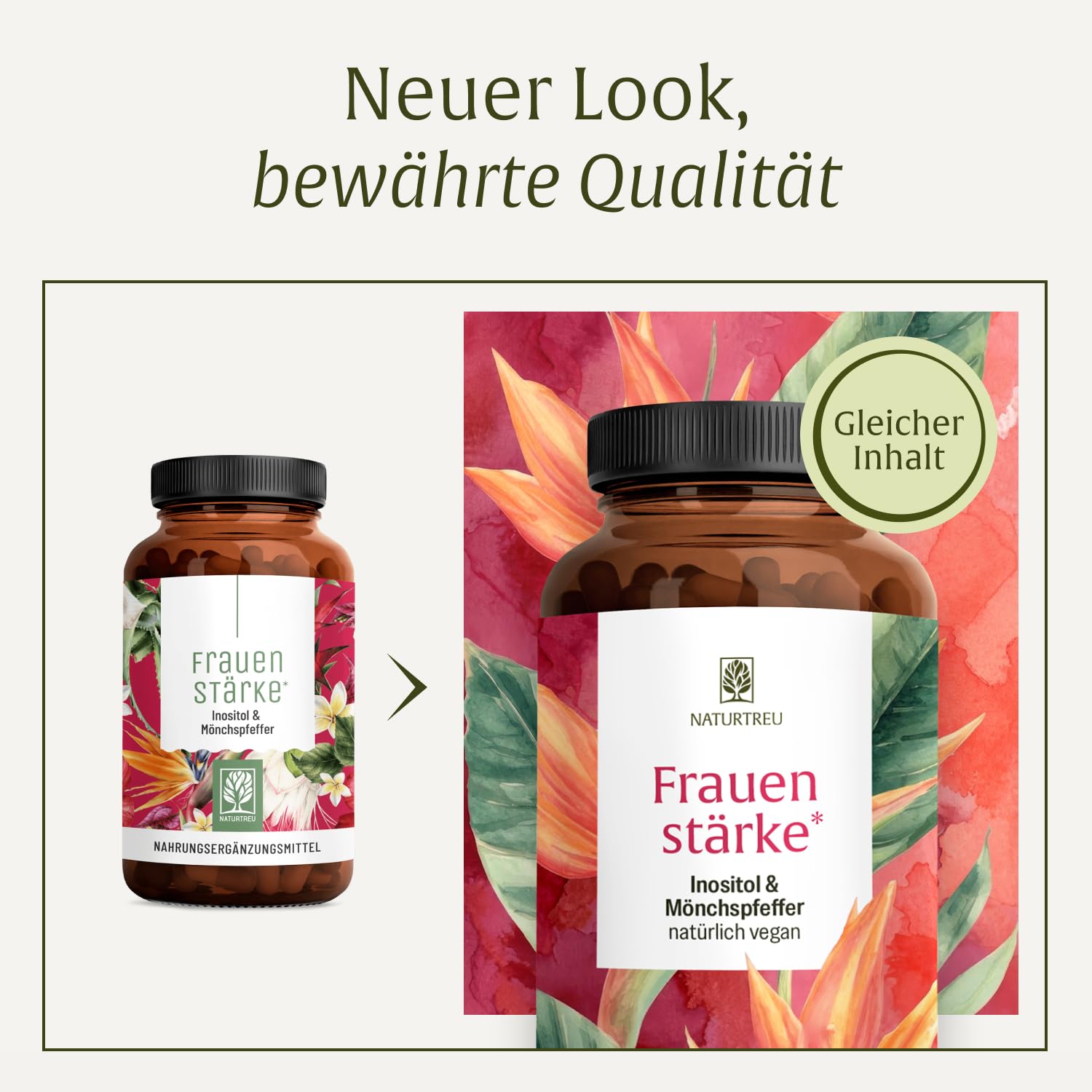 NATURTREU® Myo Inositol & Mönchspfeffer hochdosiert - 90 Frauen Vitamine Kapseln mit L-Carnitin, Folsäure, B12 & Eisen - Vitex Agnus Castus