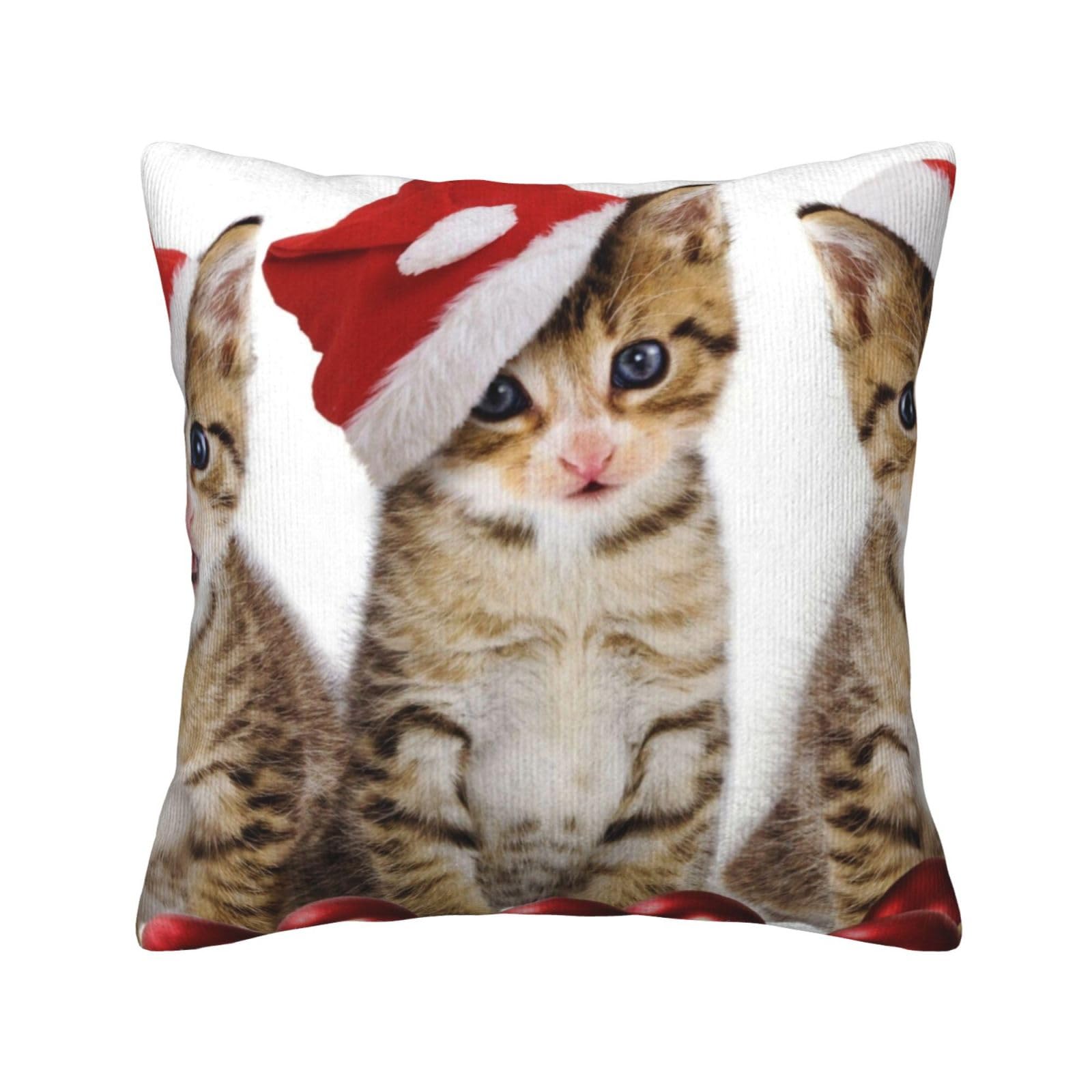 Housses de coussin chaton 45x45 cm TOMPPY pour décoration de canapé et lit