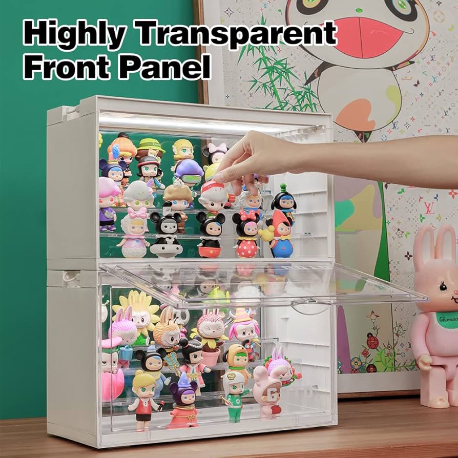 Amazon.com: GOTO LED Lighting Display Storage Case