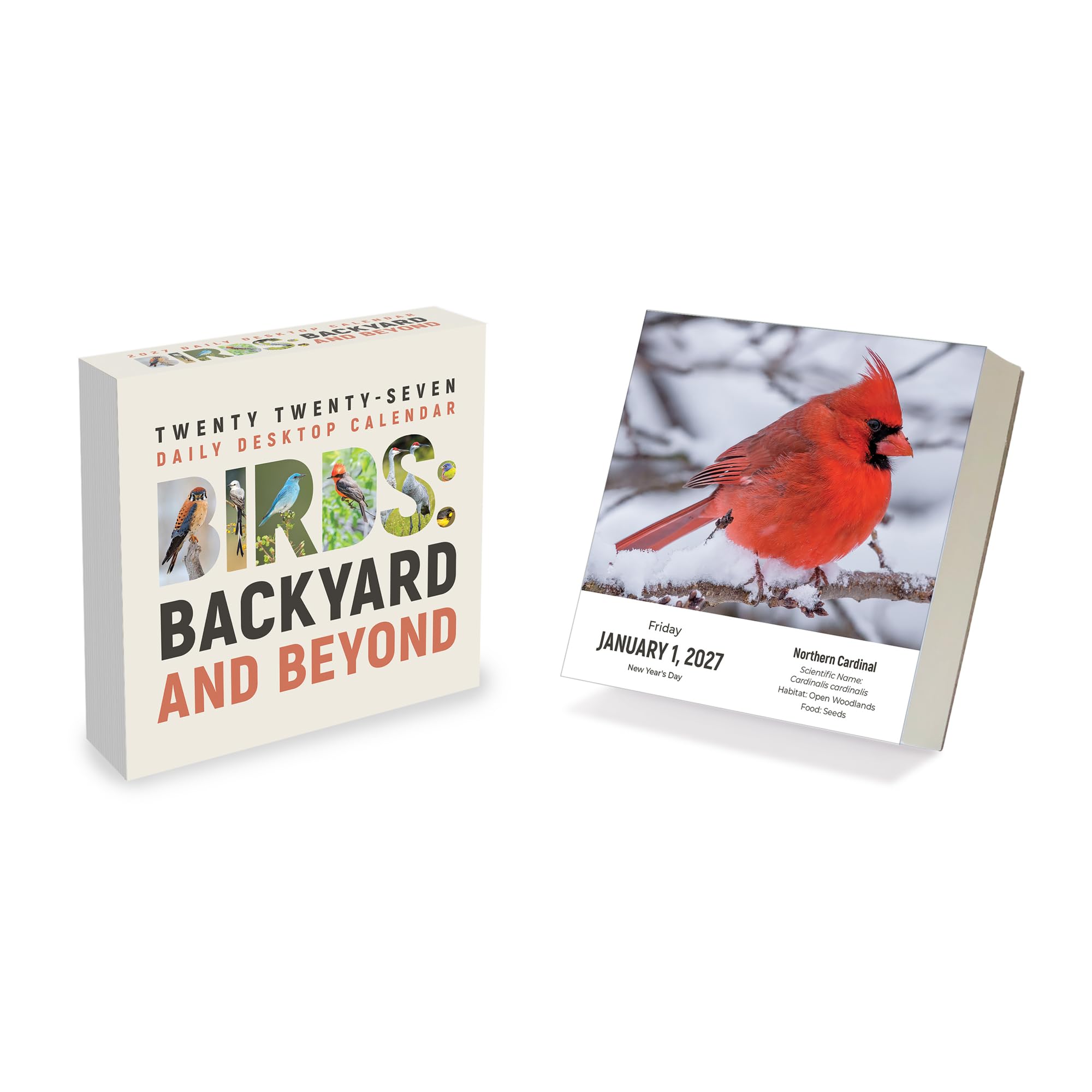 TF Publishing 2027 Birds: Backyard & Beyond Daily Desktop Calendar - Small Desk Calendar 2027 with over 300 Full-Color Tear-Off Pages and Standing Cardboard Easel - 5.25 in x 5.25 in