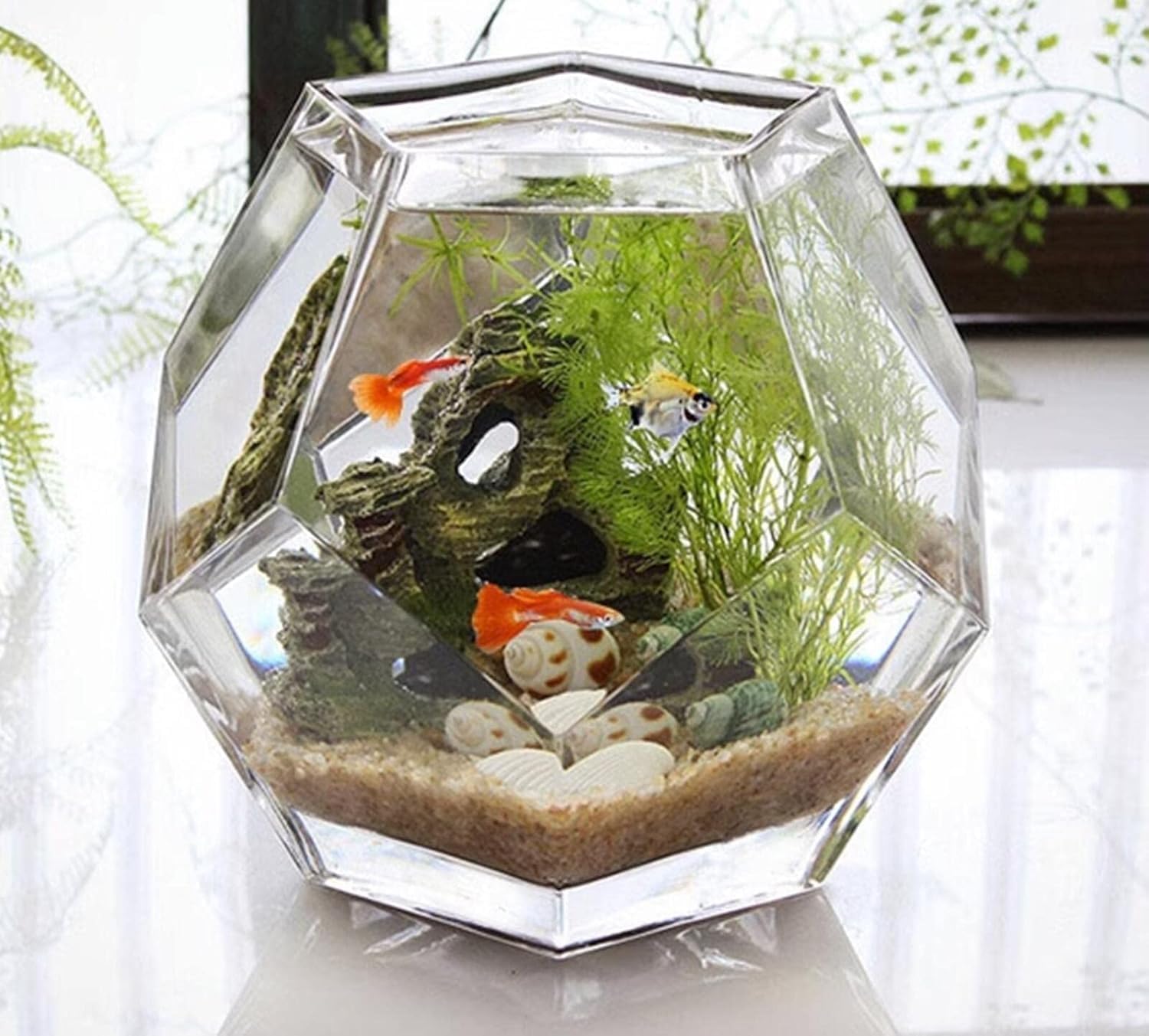Amazon | クリエイティブなデスクトップガラス水槽、金魚鉢 水槽 苔