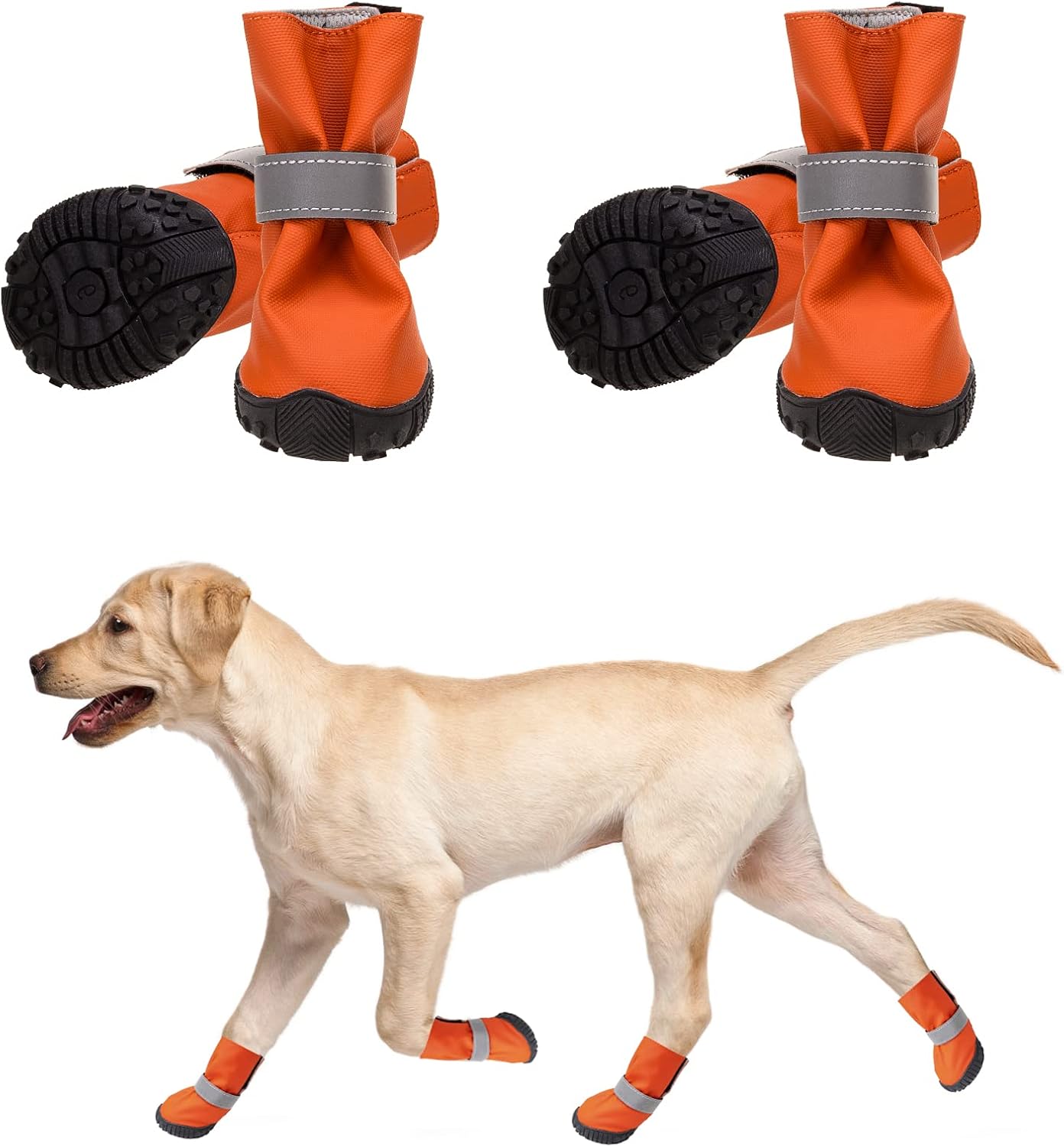 best fitting dog boots