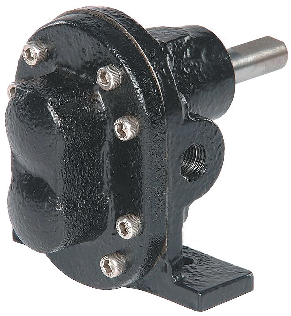 Dayton Rotary Gear Pump Head, 3/4 in, 1 HP