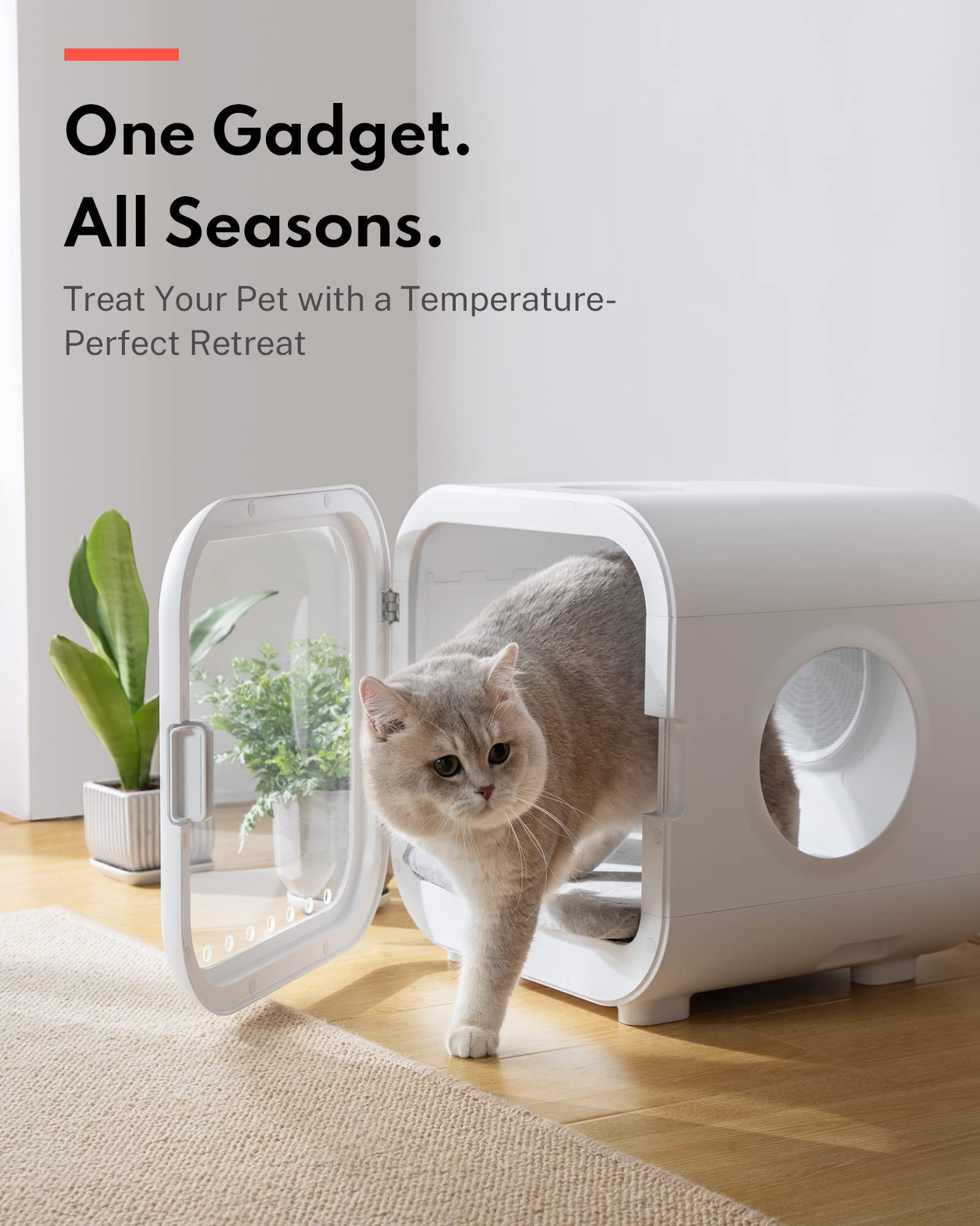 HomeRunPet Scatola Asciuga per Gatti e Cani di Piccola Taglia, 360° Efficiente Asciugatrice Automatica e Silenziosa con Controllo Intelligente della Temperatura (50L Drybo Plus Phon per Cani)