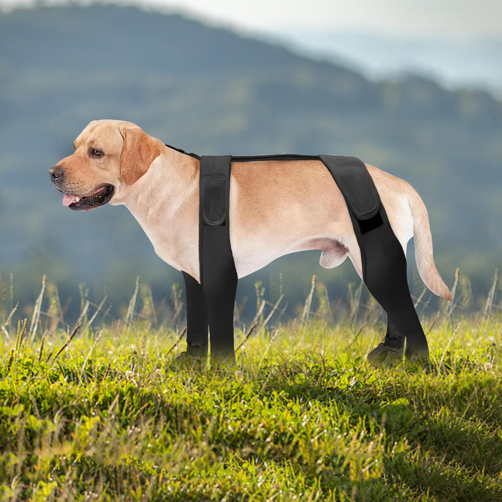 Leggings per cani, stivaletti con bretelle impermeabili, S