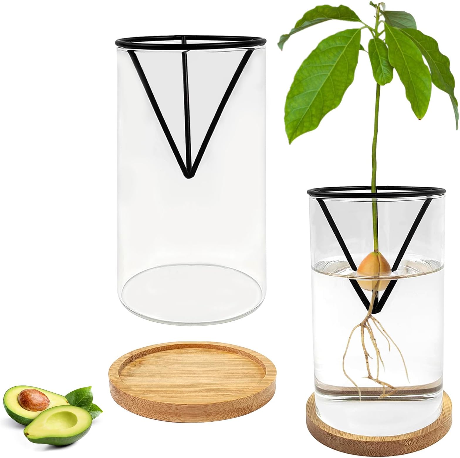 2 Pack Avocado Tree Growing Kit, Avocado Pit Planting Bowl with 2 Metal Stand and 2 Wooden Base, Avocado Seed Starter Vase Glass Plant Pot for Family Friends and Gardening Enthusiast