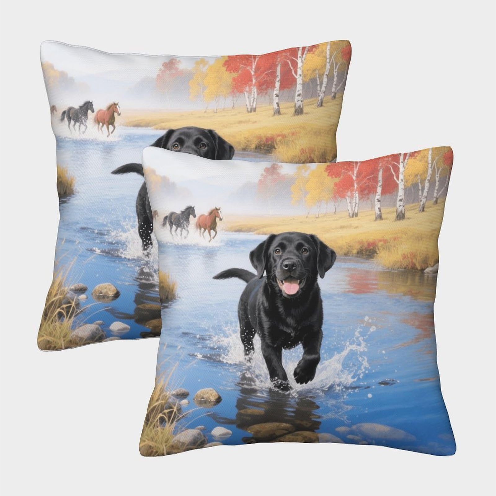Emyxpaqm Style-7 Black Labrador Retriever Cushion Covers Set Of 2, Premium Polyester Throw Pillow Cover With Hidden Zipper, Square Decorative Throw Pillow Cases, For Livingroom Couch Bed Sofa 40X40cm