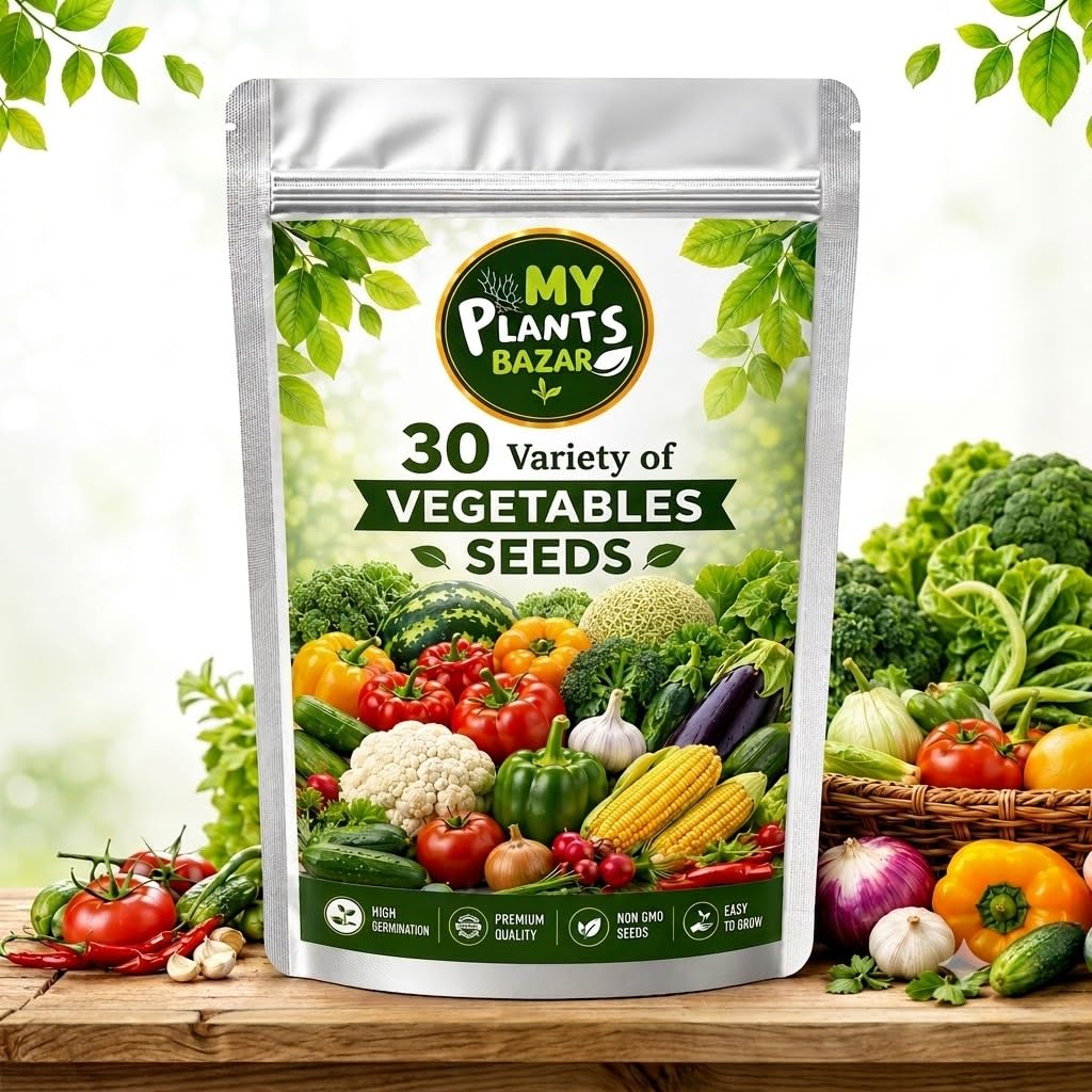 Summer Veg Seeds Combo - 600+ Seeds FREE SHIPPING -8