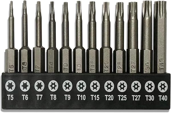 aiyun Quick Change Torx Head Screwdriver Bit 11-Piece Set 1/4 Inch Hex Shank S2 Steel Magnetic Screwdriver Bit, T6-T40