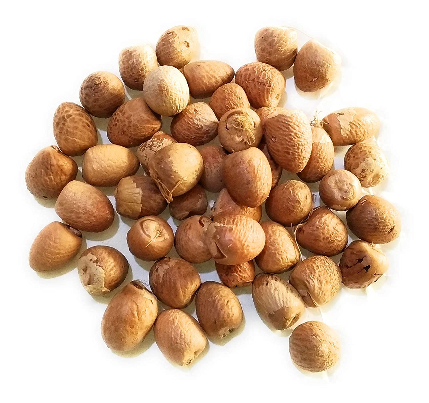 PNC Quality bazar Supari/Betel Puja Nuts in poojan samgri(100 gm) (choti supari) (B0B2WYZZ9J) Amazon Price History, Amazon Price Tracker