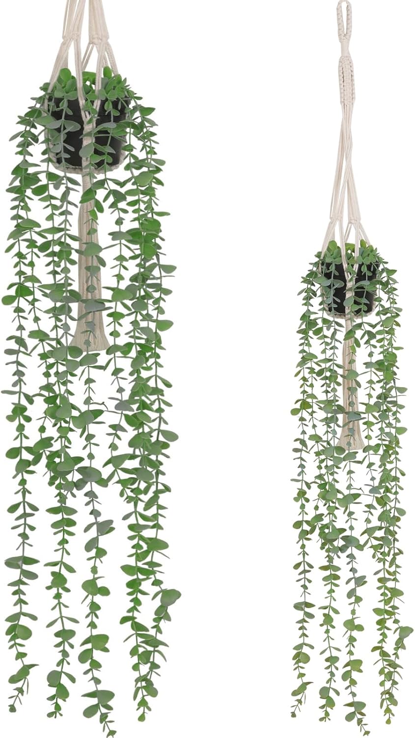 Asano Season 2PCS Fake Hanging Plants Artificial Eucalyptus