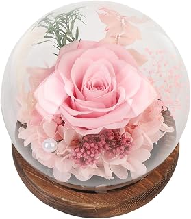 Rose Decoration Elegant Eternal Flower Gift Box Rose Decor for Anniversary Memorable Keepsake for Loved Ones (Pink)