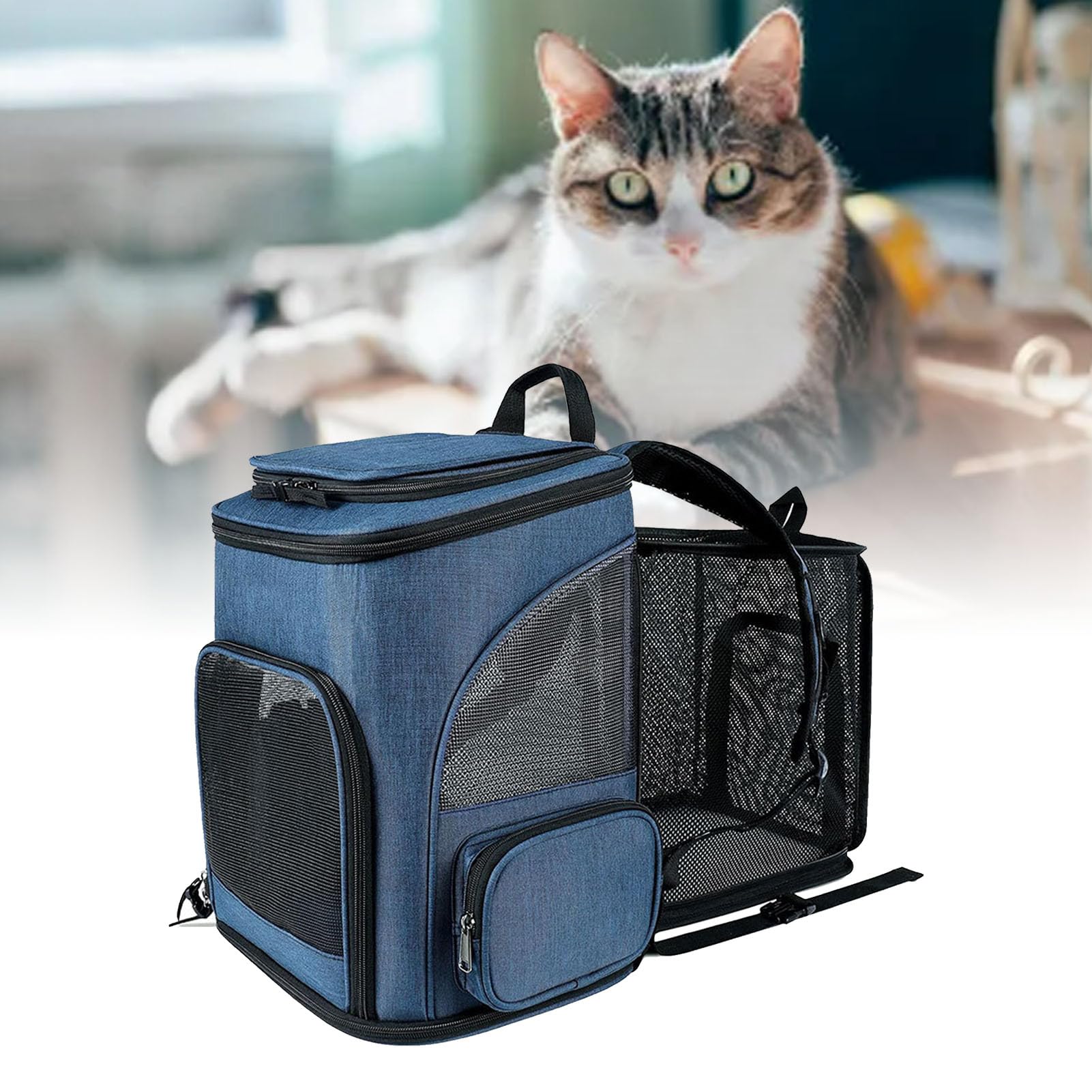 Zaino Porta Gatti Impermeabile Espandibile, Zaino per Animali Domestici con Finestre in Rete Traspirante, con Scomparti Multipli con Design Pieghevole, Ideale per Animali Domestici di (BLUE)