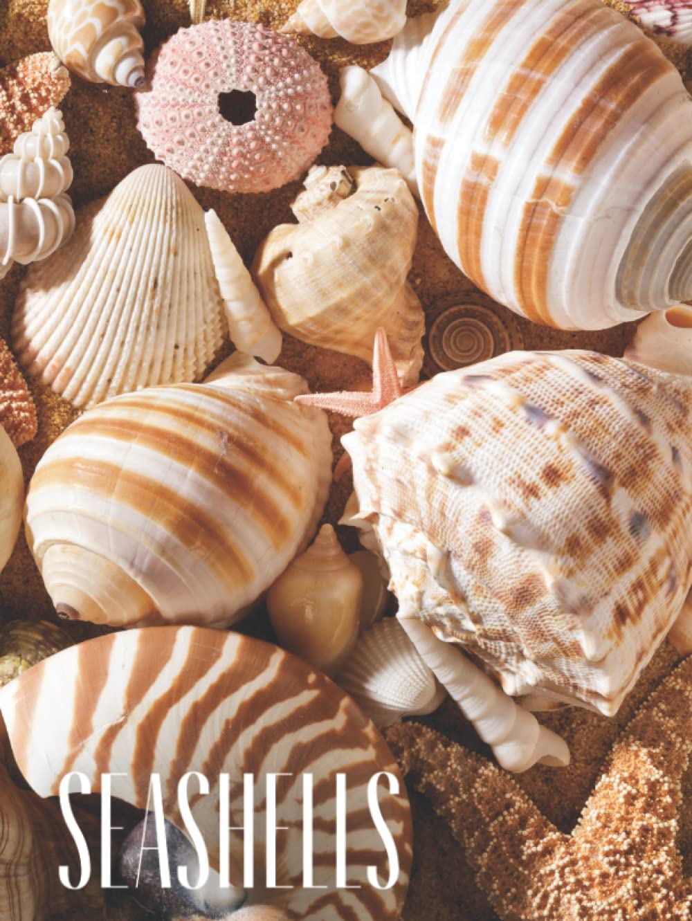 Seashells: Decorative stacking book for Coffee Tables & Bookshelves | Perfect for Coastal Themed Home Décor Interior Design & Staging (Beach House Series)      Hardcover – April 27, 2022