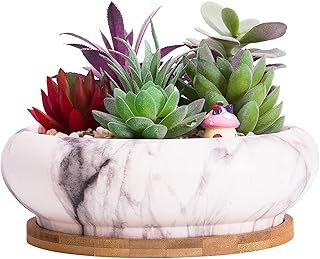 Succulent Plant Pot, 7.3 Inch Marble Succulent Planter Pot with Drainage Ceramic Bonsai Pot with Tray Shallow Cactus Plant Pot Large Flower Plant Container Bowl for Indoor Outdoor