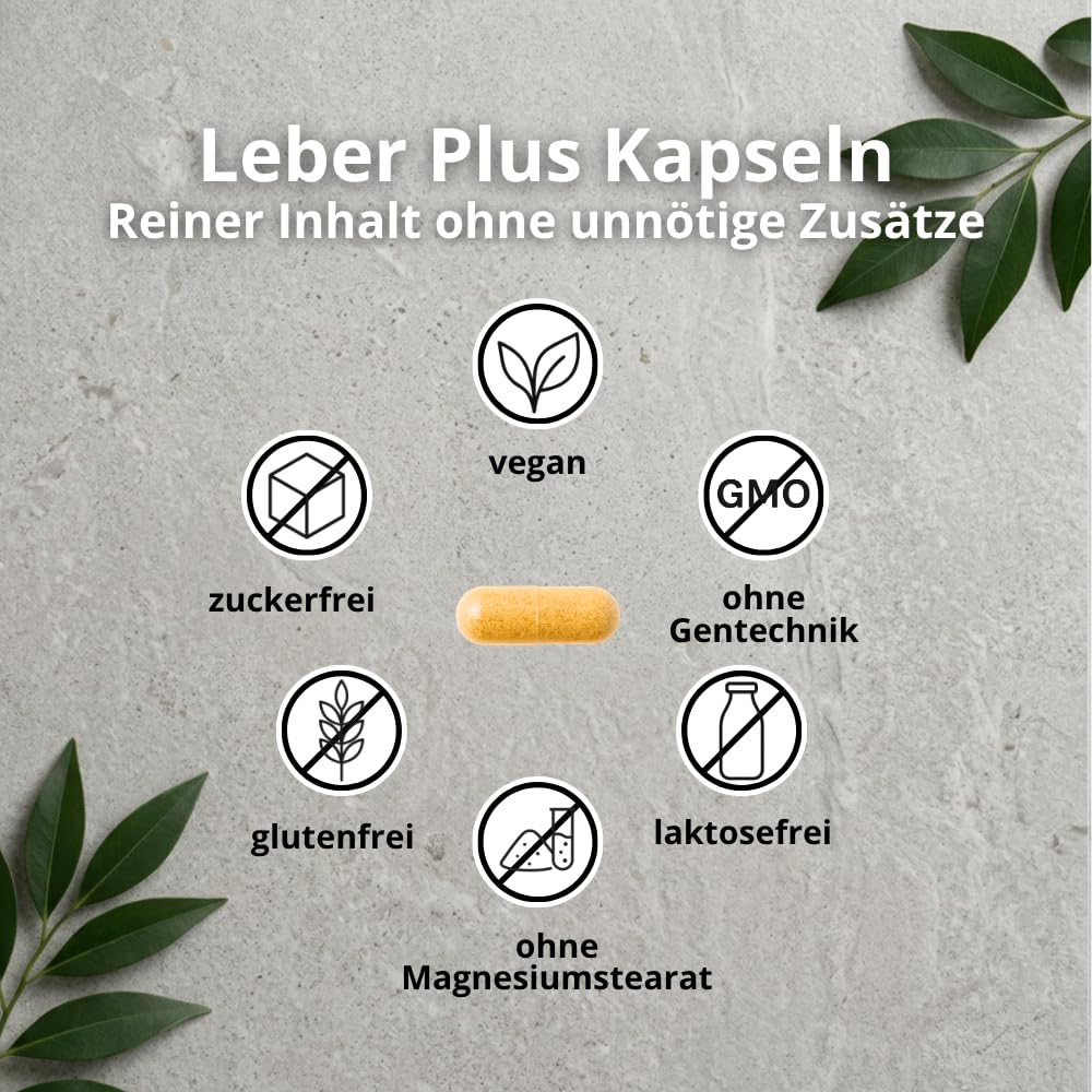 Leber Plus hochdosiert - 80% Silymarin, Mariendistel Kapseln mit Artischocke, Löwenzahn, Curcuma & Cholin - 120 Kapseln - Vegan - Milk thistle - Made in Germany