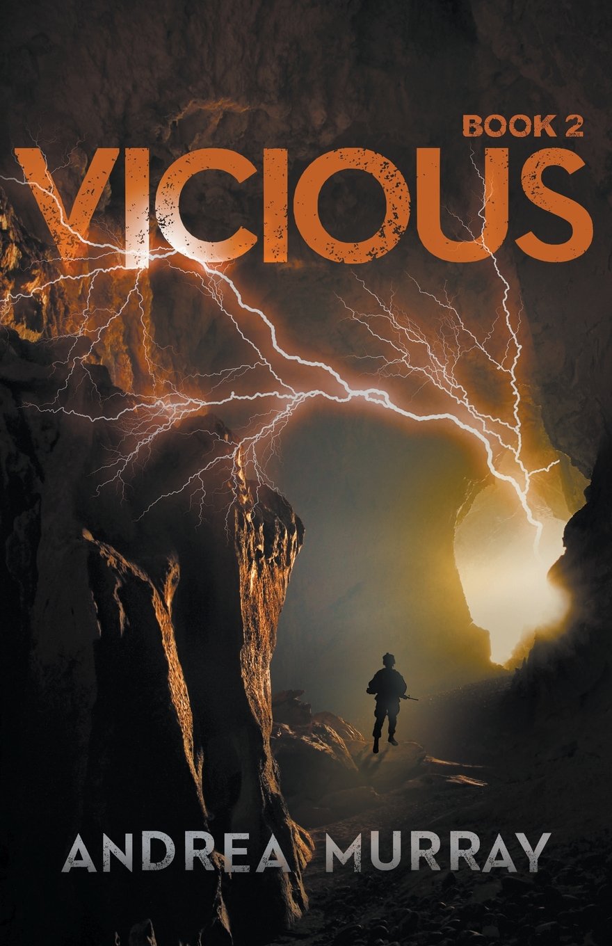 Buy Vicious: 2 (The Vivid Trilogy) — BookShops.in