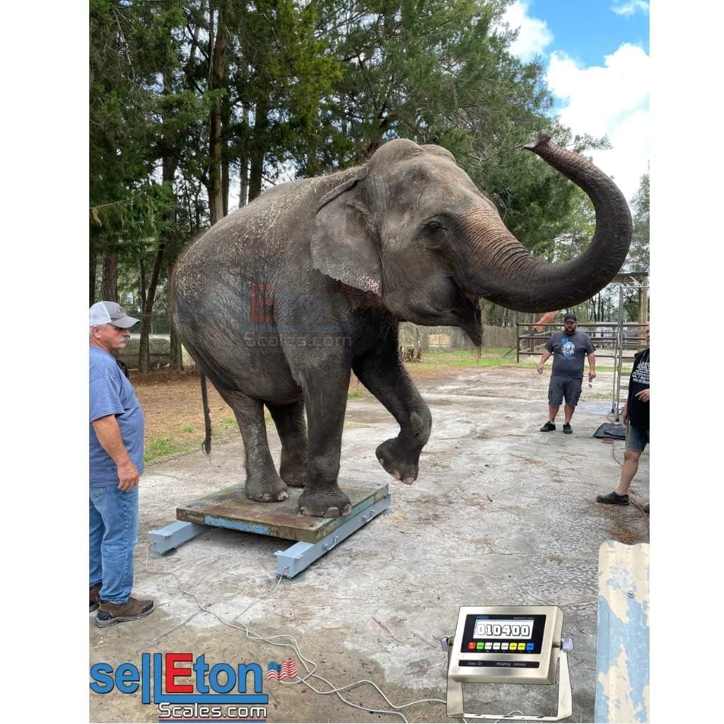SellEton SL-919-HD Weigh Beam System/Portable Includes 2 Weigh Bars with LCD Indicator - 24 Inch, 5K
