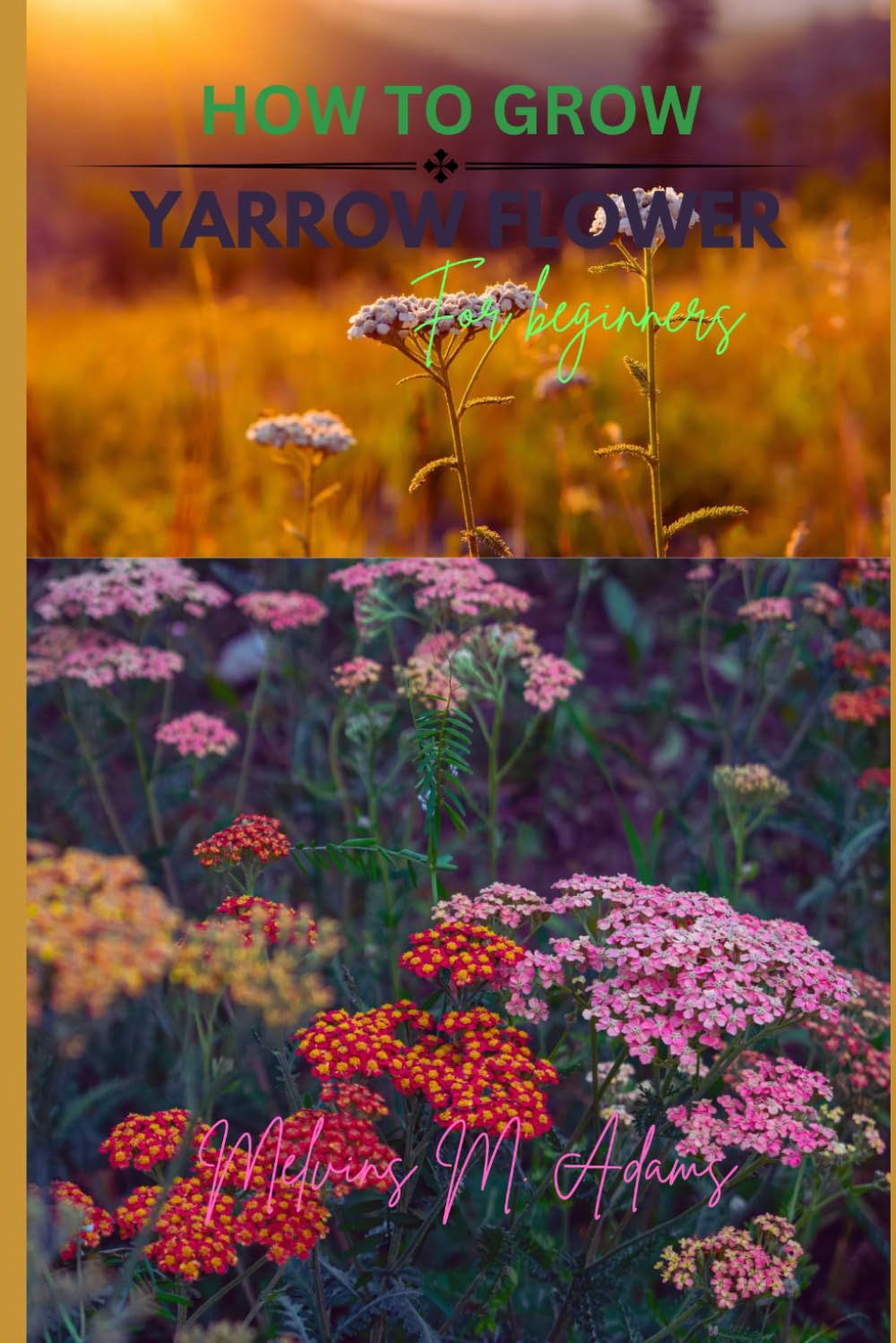How to grow Yarrow flowers for beginners: The Ultimate Beginner’s Guide to Growing, Caring for, and Harvesting Yarrow at Home and garden