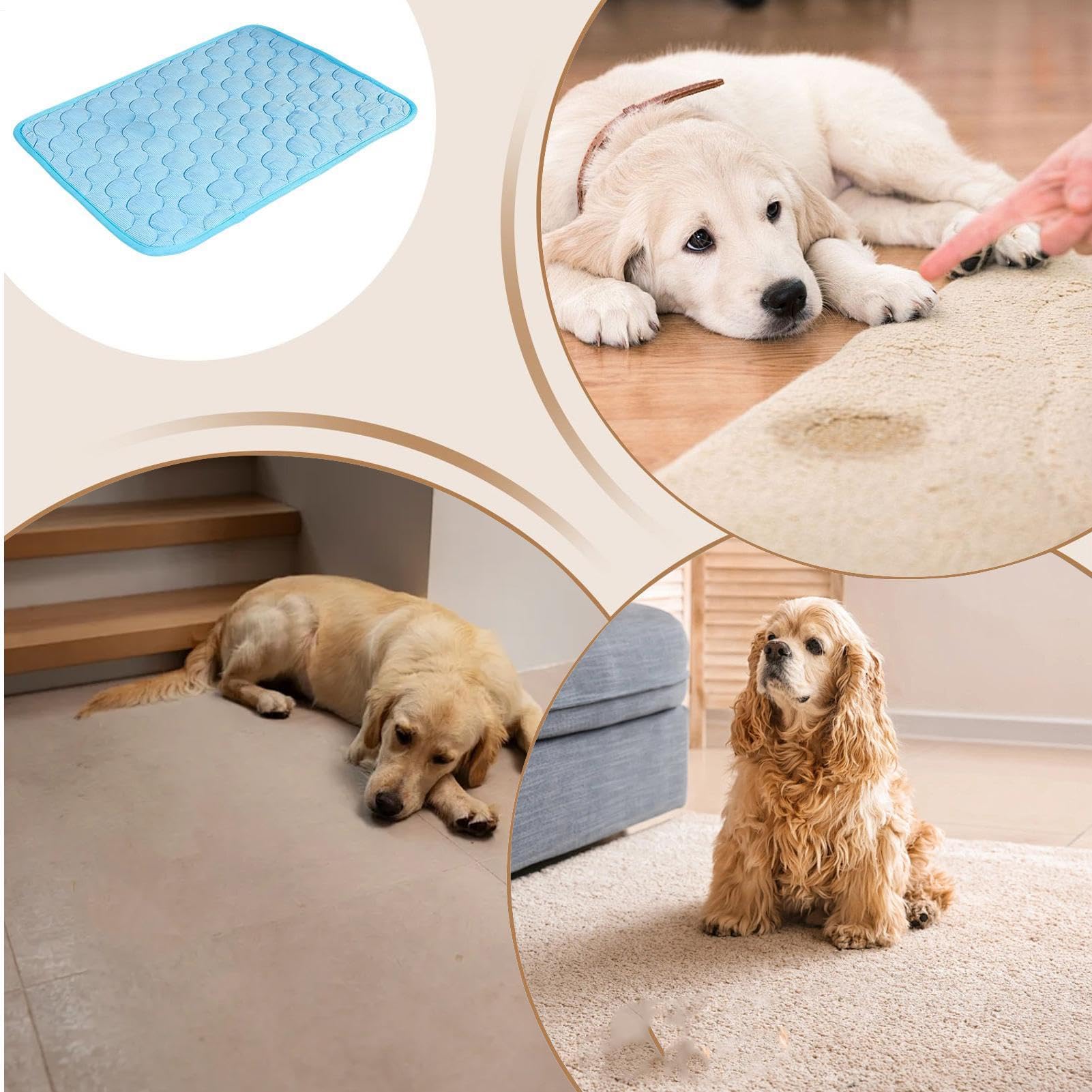 Tappetino Rinfrescante Canino | Cuscino Lavabile Da Dormire | Tappetino Rinfrescante Per Cani 100 x 75 cm | Per Cani Piccoli Grandi E Gattini Trasportino Canile Pavimento Divano Casa Viaggio