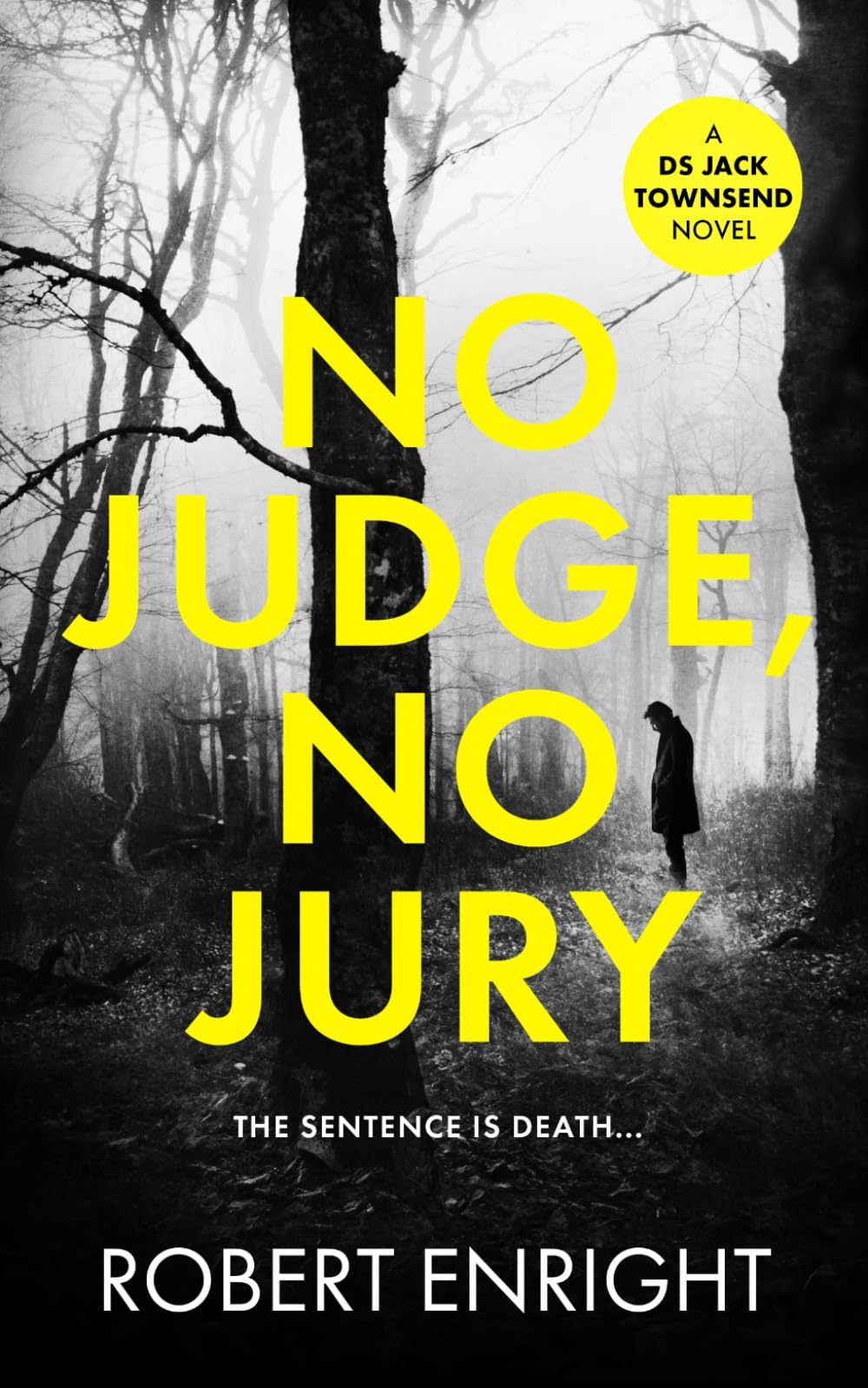 No Judge, No Jury (The DS Jack Townsend Crime Series)