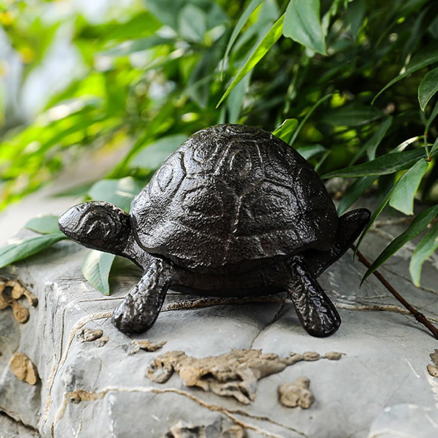 Tortoise/Coccinella Septempunctata Key Storage Box for Gardens and Yard Iron Jewelry Hider with Concealed Compartment (B)