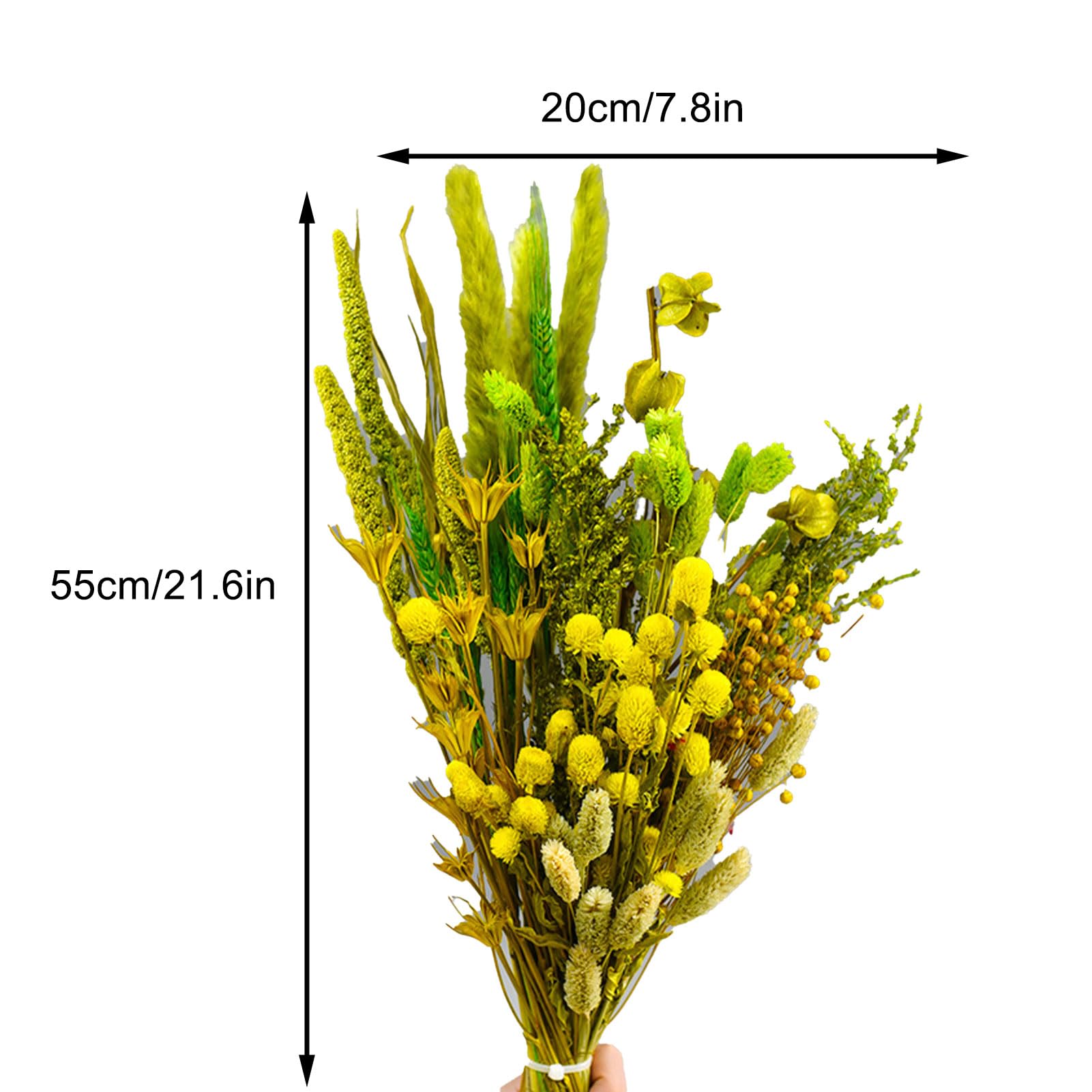 Bouquet Mix di Bouquet di Fiori Secchi, Fiori di Lavanda Secchi da 21,6 Pollici e Palline di Billy Secchi Code di Coniglietto di Pampa in Cotone Stelo di Erba Decor (E)