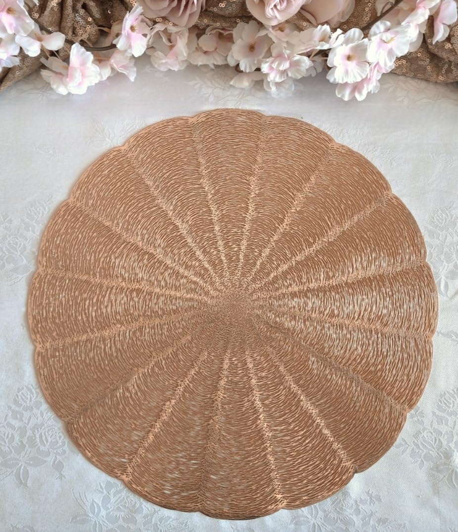 Occasions 10 Pieces Pack/Placemats Washable Easy to Clean PVC Heat-resistand Woven Vinyl Table Mats (Bloom-Matt Rose Gold)