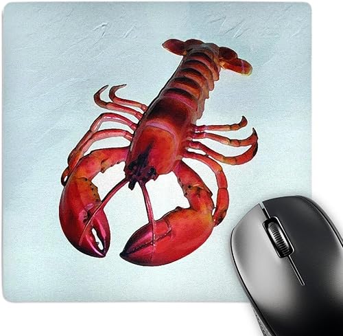 3dRose LLC 8 x 8 x 0.25 inches langosta Mouse Pad (MP _ _ _ _ _ _ _ _ _ _ 4480 _ _ _ _ _ _ _ _ _ _ 1)