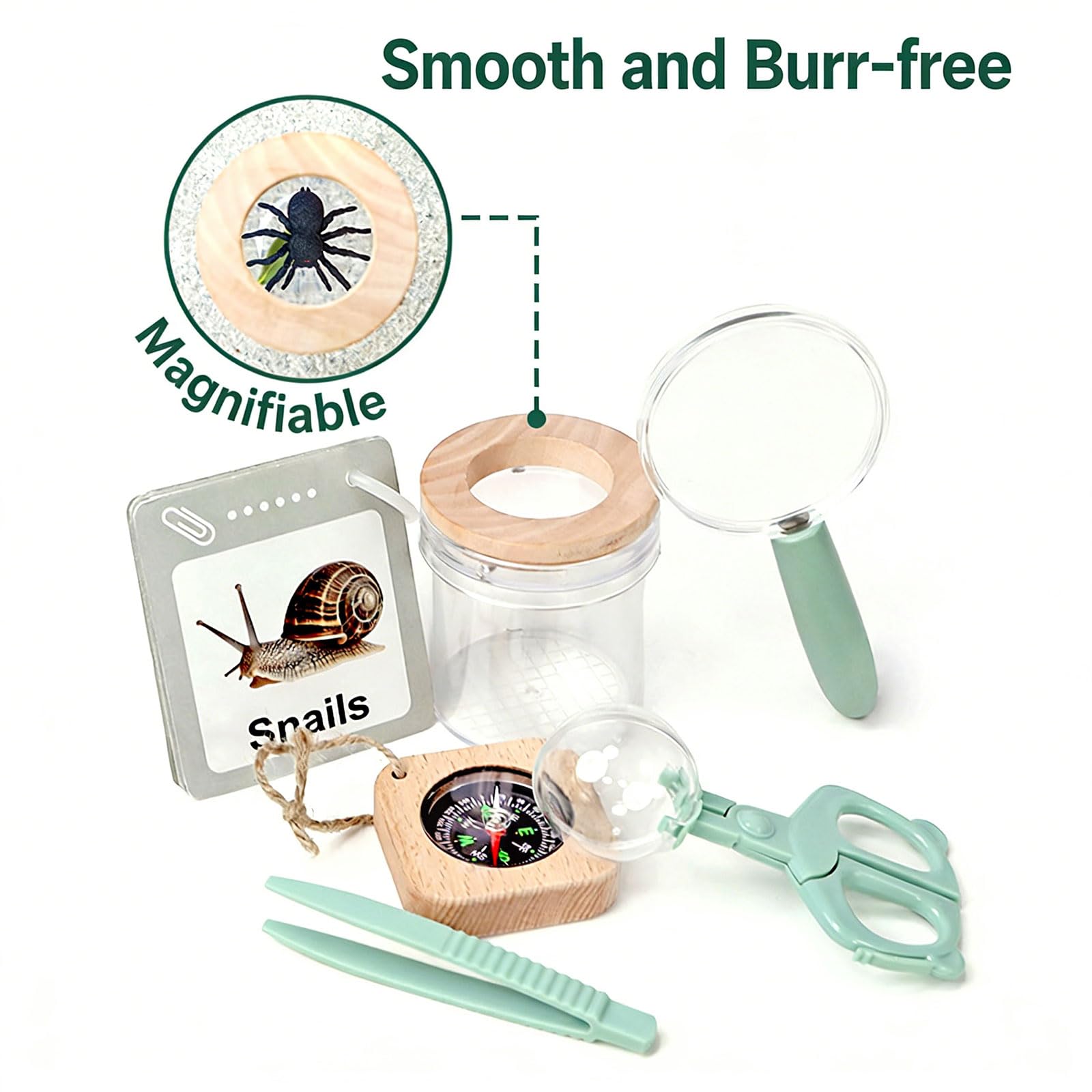 per Lo Studio della Fauna Selvatica per Principianti con Camera ventilata e Strumenti Rimovibili per l ' ingrandimento delle Mosche per l ' educazione scientifica per Bambini
