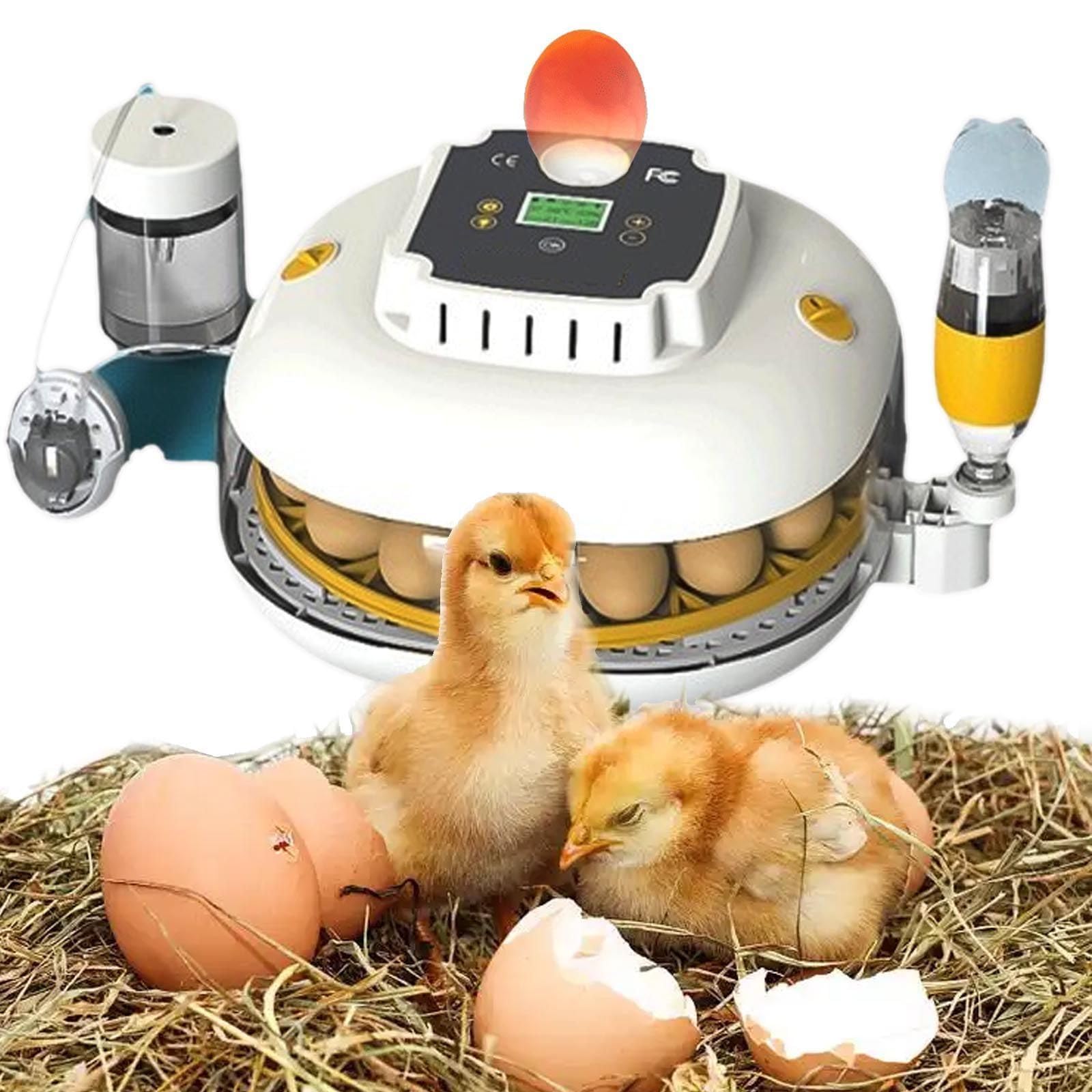Incubadora Huevos Gallina - Incubadora AutomáTica De 22huevos Controles AutomáTicos De Temperatura Y Humedad HigróMetro Y Pantalla Led Digital, para Incubar Pollos, Codornices Y Patos
