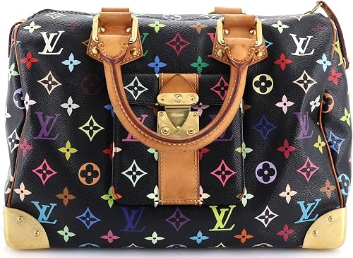 Pre-Loved Speedy Handbag Monogram Multicolor 30, Multicolor