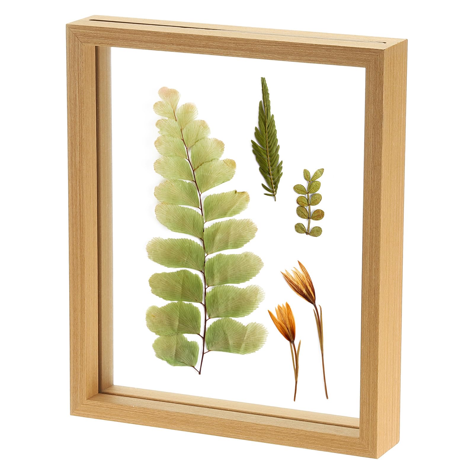 Cadre photo flottant en bois naturel 21,6x25,4 cm double verre pour herbier et table