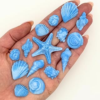 15 Dye Free Seashell Edible Cake Decorations, Vegan, Gluten-Free, Edible Cake Toppers for Cupcakes, Cookies & Desserts, by Simply Sucré (30 Pieces (Bulk Box), Blue)