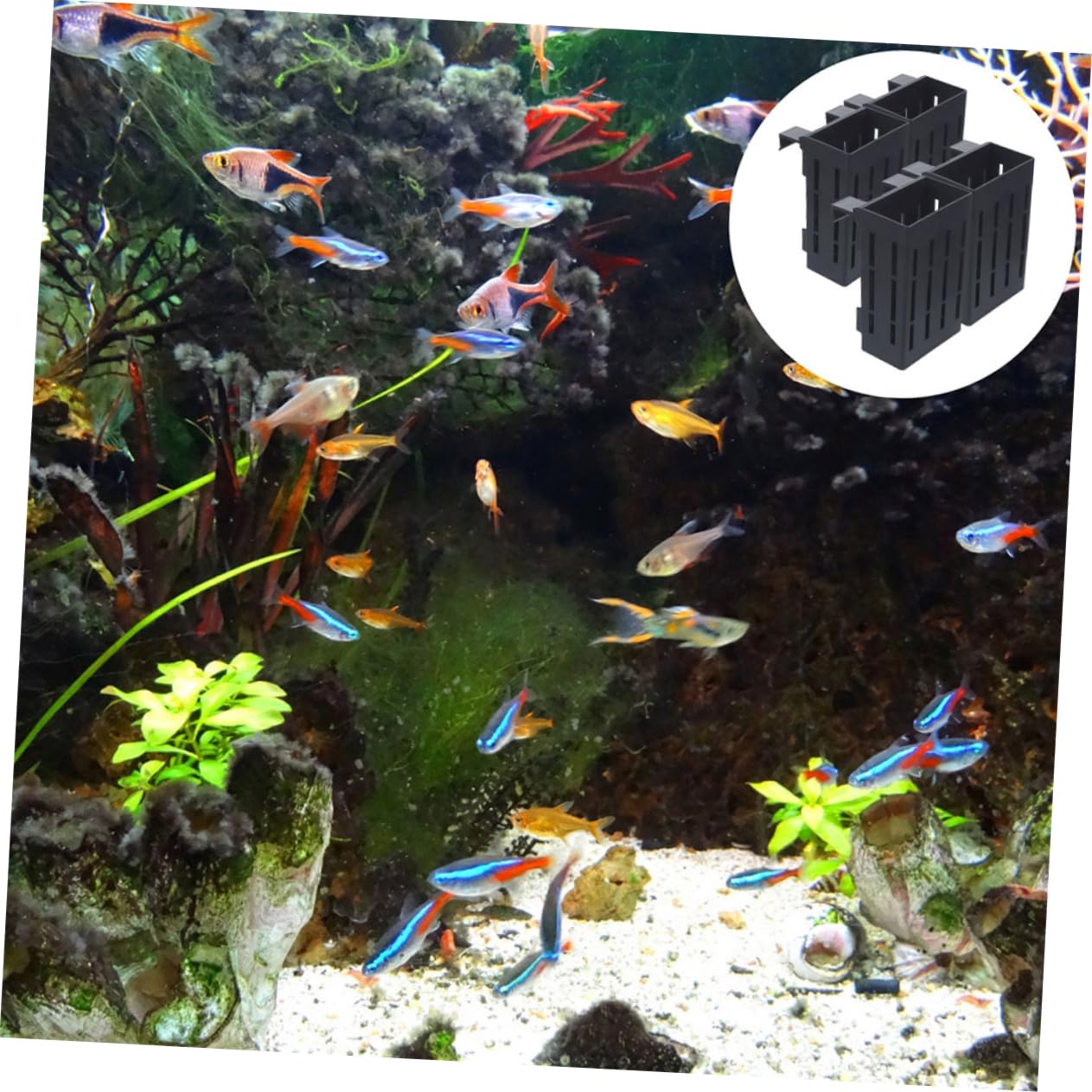 Kisangel 12stücke Wasserpflanzenhalter Für Aquarien Hängende Pflanzenübertöpfe Mit Löchern Gesunden Wurzelentwicklung Und Langlebige Kunststoffkonstruktion Für