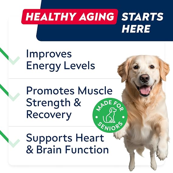 STRELLALAB NMN Supplement NAD+ Longevity for Dogs - Quercetin, Resveratrol