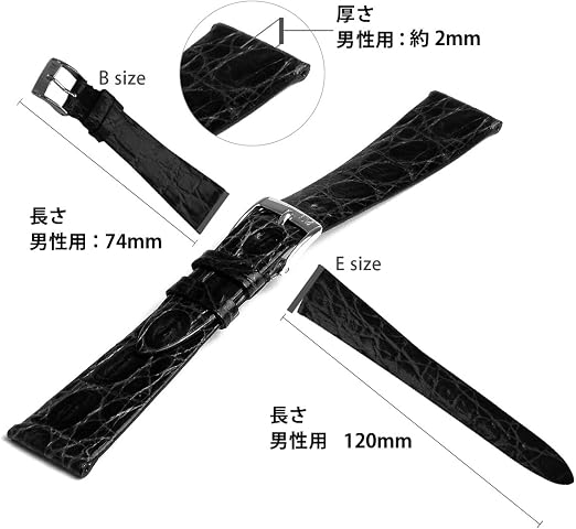 Amazon.co.jp: MORELLATO[モレラート] カイマンワニ 時計ベルト
