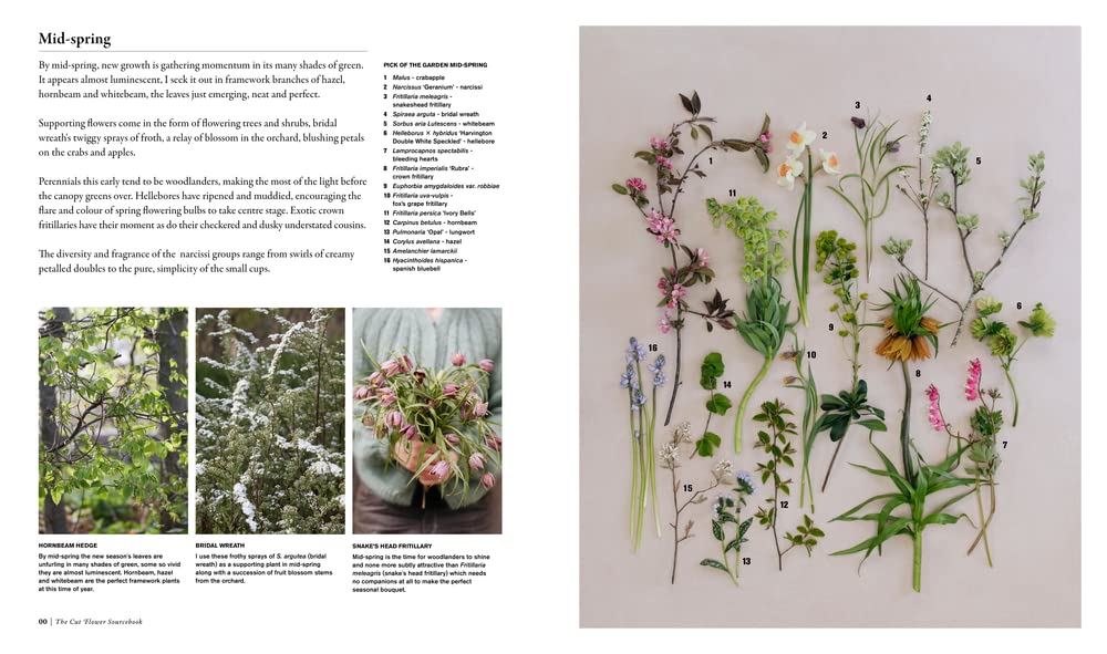 The Cut Flower Sourcebook: Exceptional Perennials & Woody Plants for Cutting