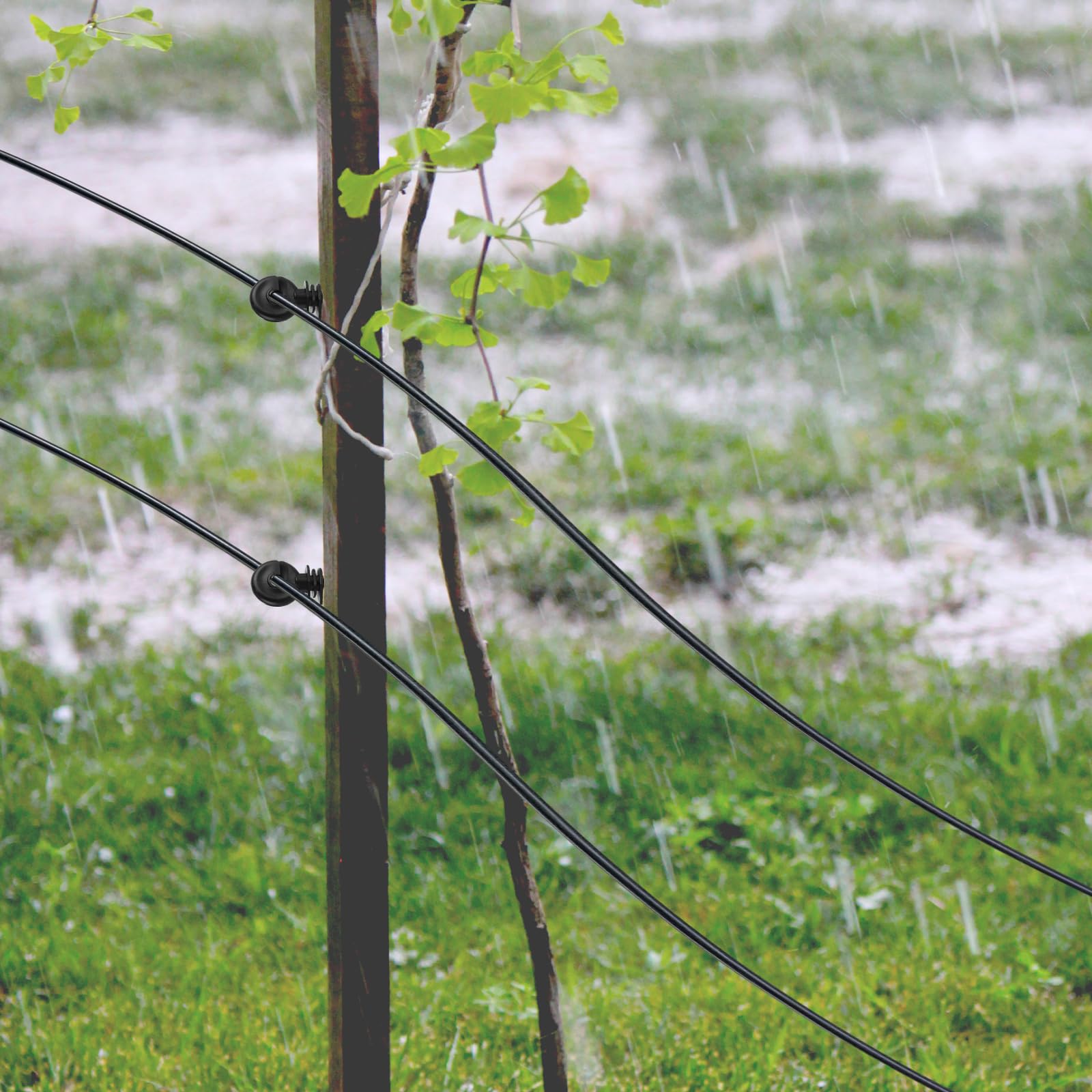 AKOLAFE Lot de 50 isolateurs de clôture électrique à vis dans les anneaux de clôture électrique à vis longues en maille métallique isolateur de poteau en bois pour cordes, fils et brins