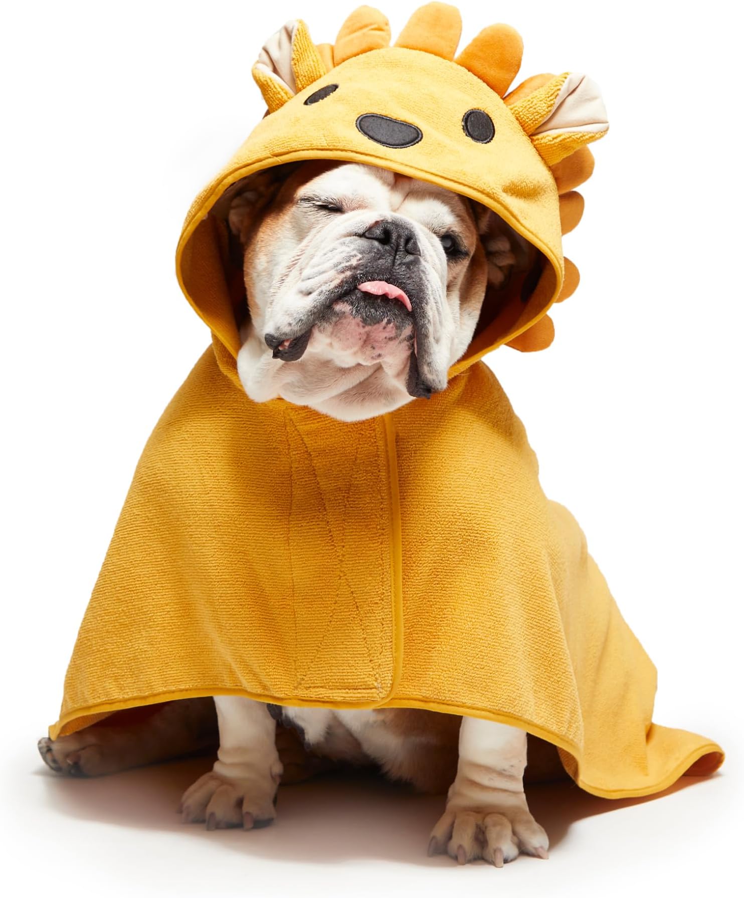 Barkbox Premium Absorbent Dog Towel - Quick Drying Hooded Bathrobe for Bath & Beach Trips, Luxurious & Soft Dog Bathrobe/Towel for All Breeds, Quick Drying Pet Towel for Dogs & Cats (Lion, Medium)