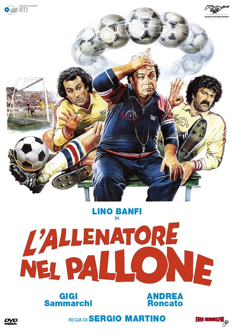L'Allenatore Nel Pallone [DVD]