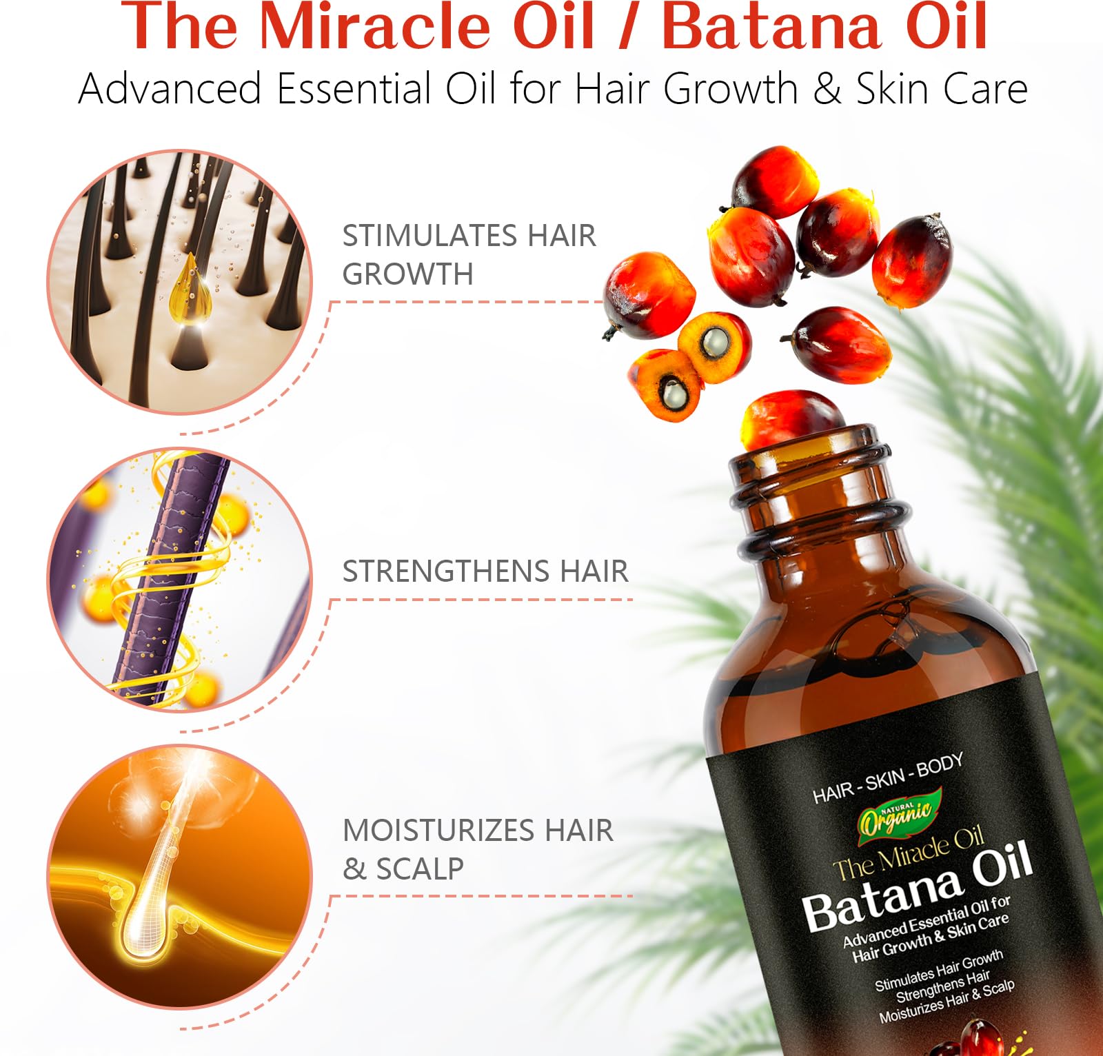 2Pack Batana Oil for Hair Growth Natural Unrefined Batana Oil for Hair Growth Nourish Scalp and Reduce Hair Loss Hair Oils - Image 2