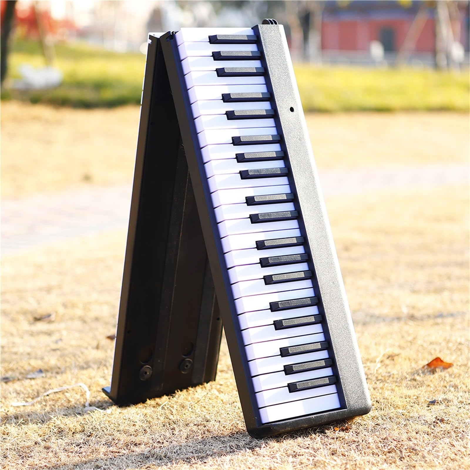 Tastiera Digitale Per Principianti Pianoforte Pieghevole A 88 Tasti Tastiera Elettronica Portatile Per Principianti Adulti(Black)