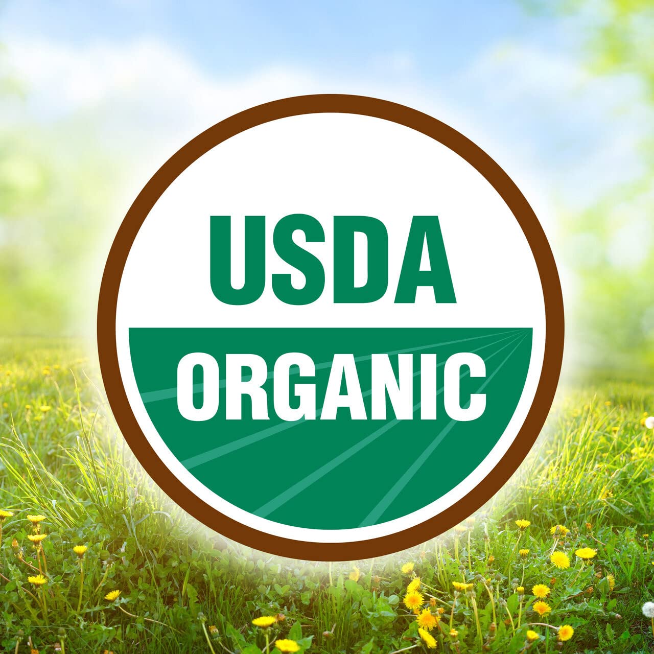 Babys Only Organic Plant Based Pea Protein Toddler