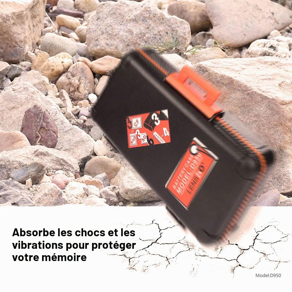 Étuis pour Carte Mémoire de la Batterie de Caméra, LENSGO D950 Boîte de Rangement pour Carte de Batterie pour Caméra Compact pour 3 Batteries de Caméra 6 Cartes SD 3 Cartes CF ou 3 Cartes XQD